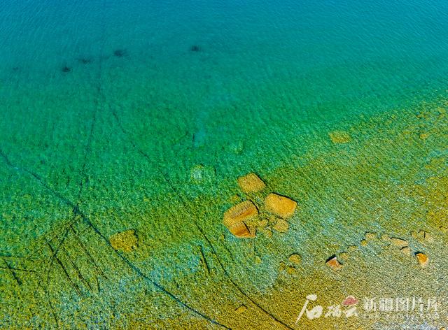 治水兴水看新疆丨“高山明珠”赛里木湖生态底色鲜亮