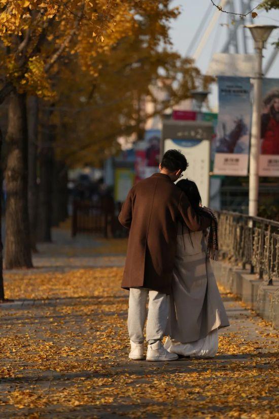 这场秋日浪漫别错过 申城落叶道体验进入倒计时