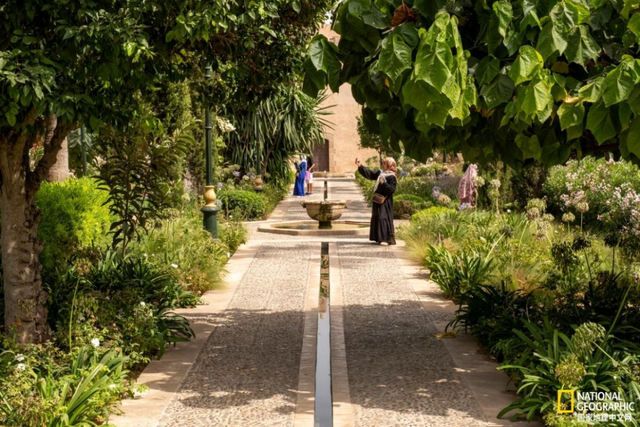 从北京中轴线到东非大草原：2026国家地理全球最佳目的地公布