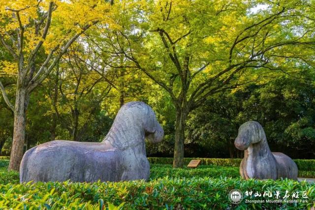 南京石象路秋日限定正式上线