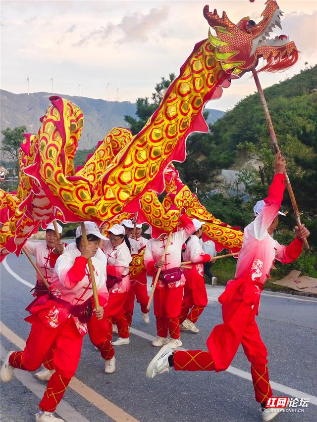 高清湖南丨花海与云海，隆回龙瑶幽谷的双重浪漫