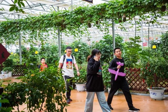 【出发吧少年！贵州山河奇遇记】“体验采摘收获满满的一天”
