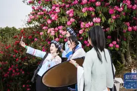 贵州毕节：大地春归 花开锦绣图片