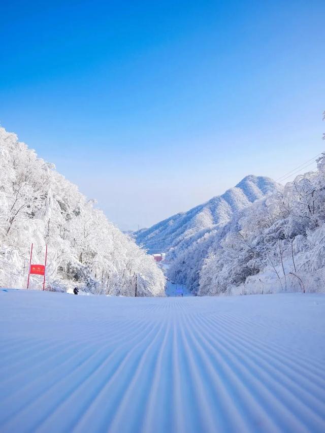 听劝，冬天在洛阳，就要这么玩！