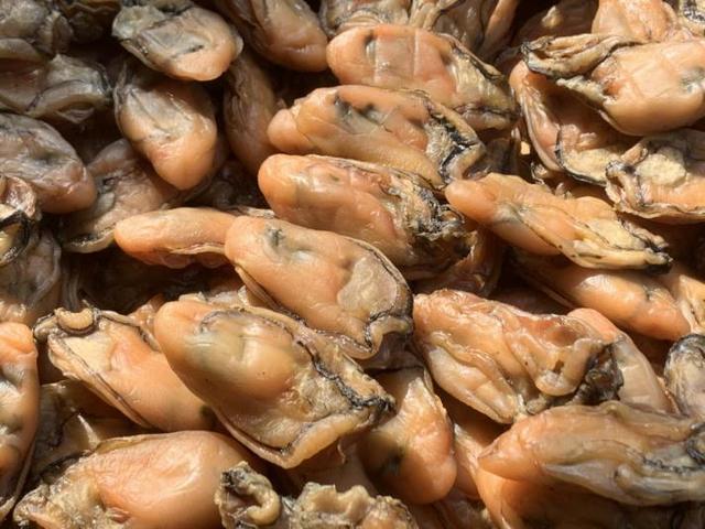花胶 干贝 蚝干 海底椰 菜干 2026年花胶海底椰鸡汤的做法