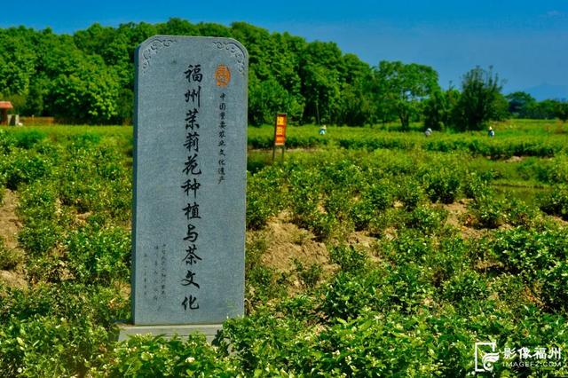 开通啦！跟着福州滨海快线一日游！