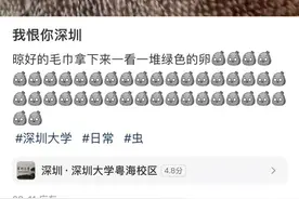 头皮发麻！大量出现！很多深圳人衣服上都有……图片