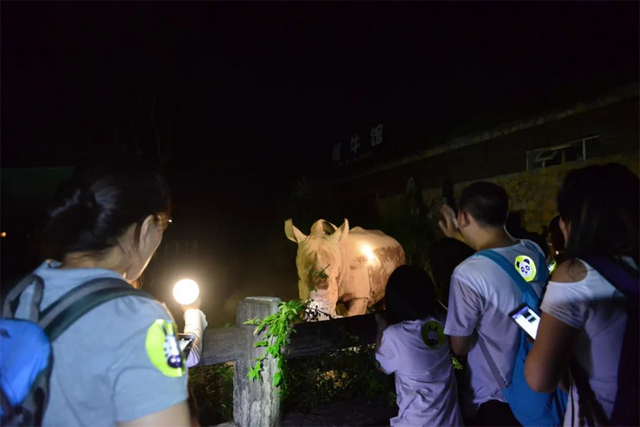 周末趣湖南丨室内看展赏剧、夜间撒欢观赛 解锁周末清凉玩法