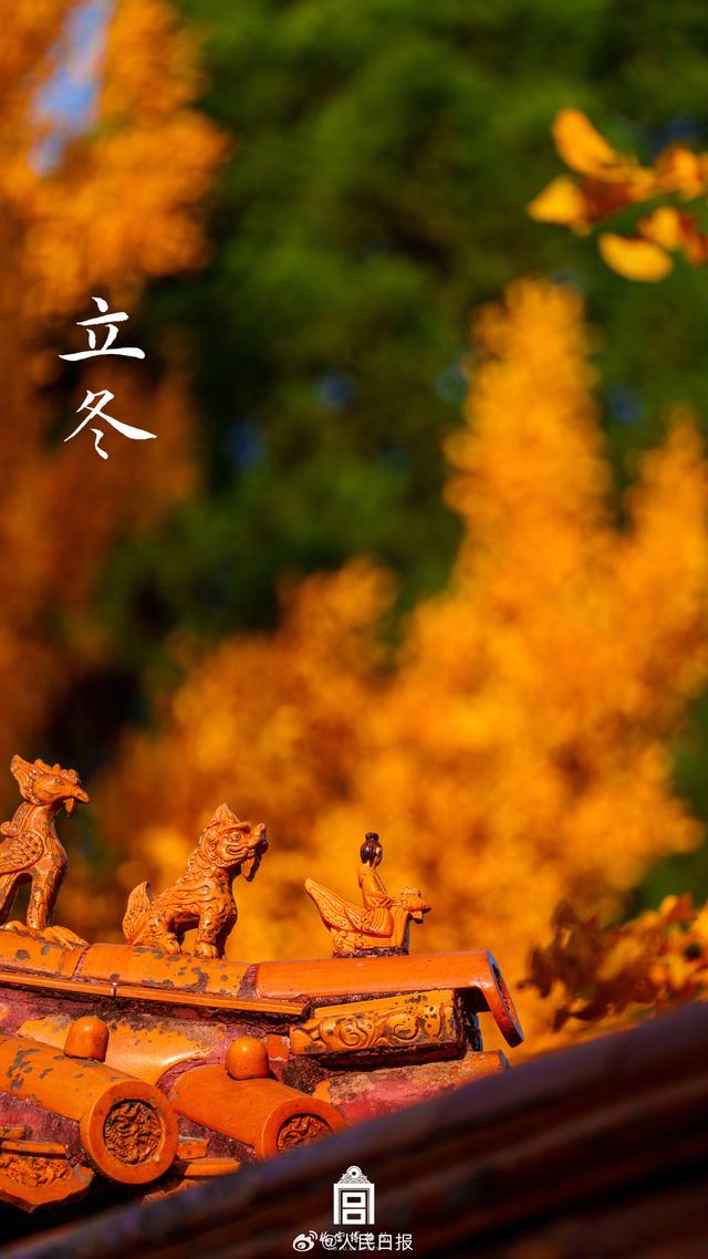 转存收藏！故宫节气图张张都是壁纸