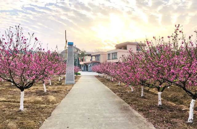 2.5h缩短至1h车程！趁高速通车来这两座宝藏小城，品品茶香和诗意……