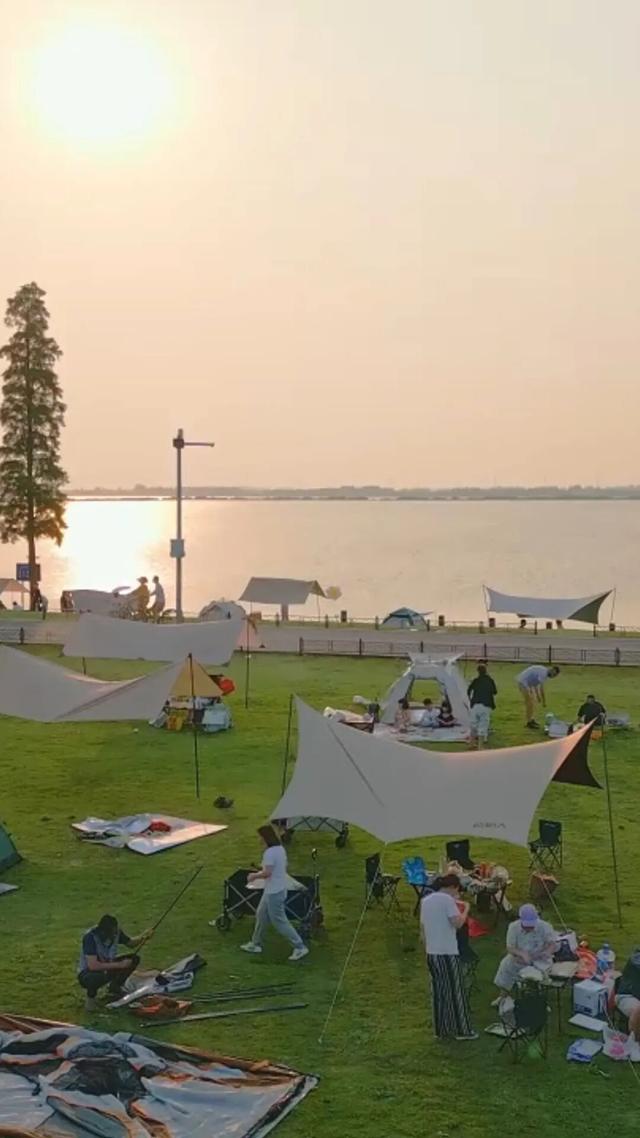 青浦出发！美到窒息，这条长三角秋游线太绝啦～