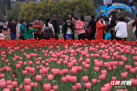 进入赏花高峰期 湖南省植物园提醒你注意这些事项图片
