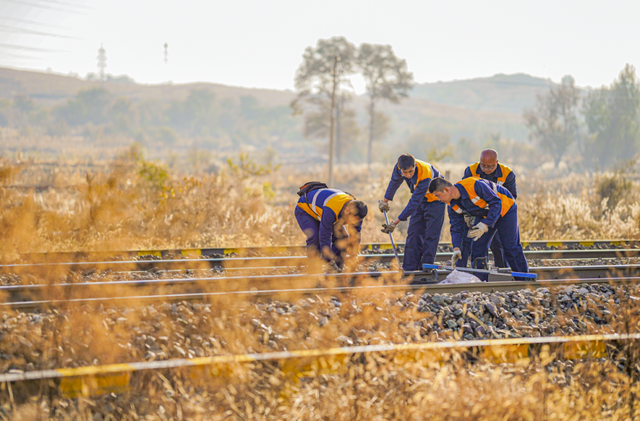 层林尽染时，他们用脚步丈量如画风光