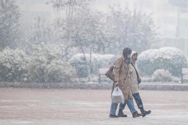 雪花叩门时：哈尔滨的冬日童话