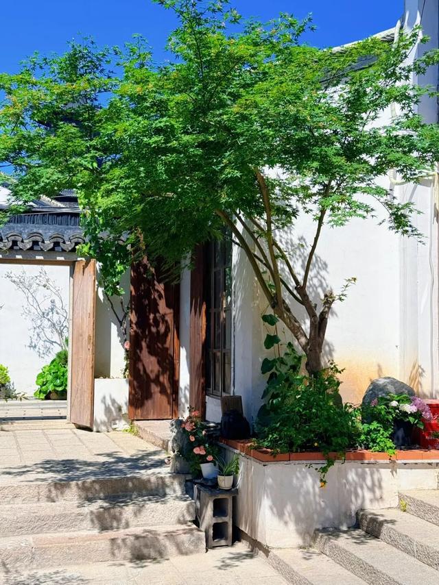 泗泾镇｜收好这份“私藏”机位指南，来泗泾古镇“框框”出大片