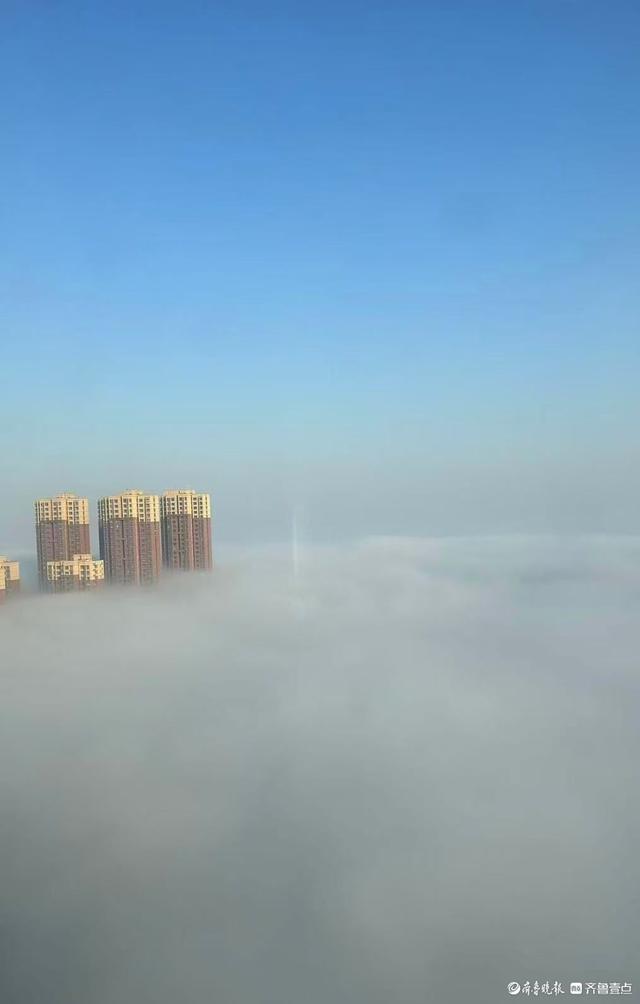 邹平雾气缭绕，宛如仙境