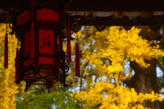 出发！来四川淘“金”