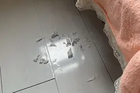 被性侵后，无法重建的19年人生图片