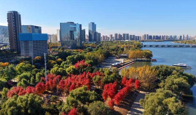 辽宁沈阳：秋意正浓 景色如画