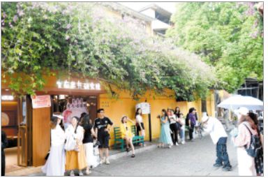 从滇池晨风到老街烟火 春城避暑 不只清凉