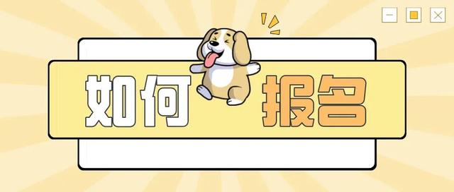 汪汪队，集合啦~