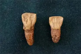 元谋县擦亮“四张名片” 绘就民族团结进步和美画卷图片