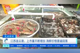 降价幅度约20%！节后上市量增加，江苏连云港海鲜价格普遍回落图片