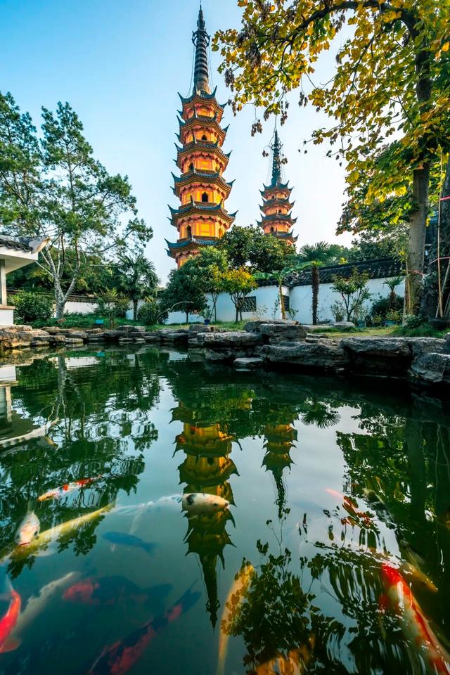 好景成双，来定慧寺巷邂逅小确“杏”