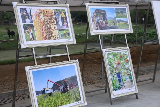 【悦遵义·SuiYang 诗意田园】穿越古今的游园会，解锁绥阳的诗意与文化密码