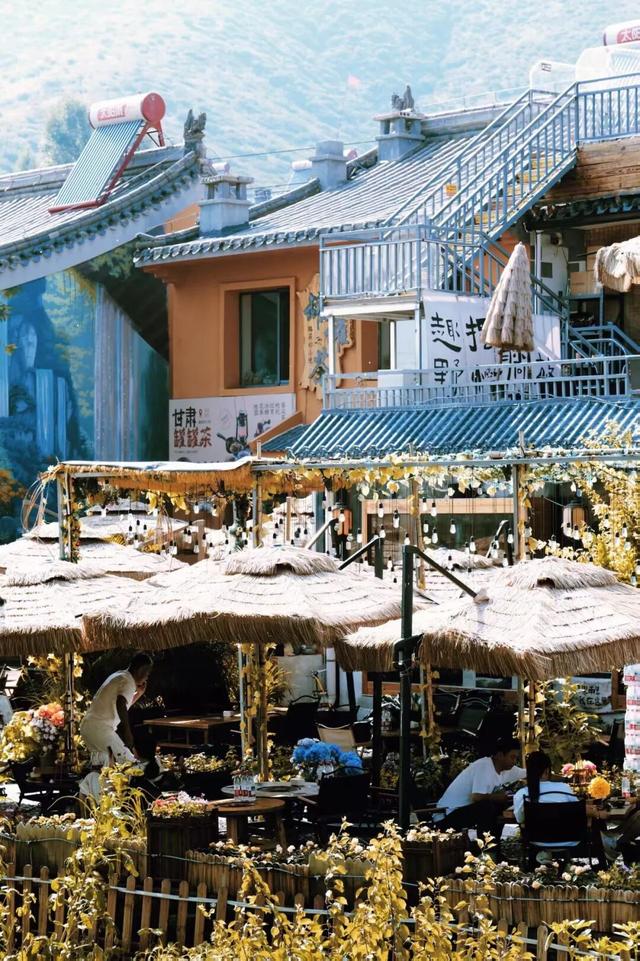 听，呼和浩特的秋天在喊你煮茶喝咖了