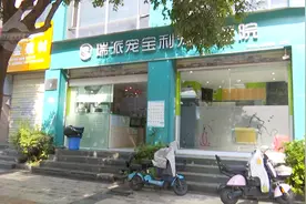 昆明一宠物狗手术5天后肚子炸开肠子掉了图片