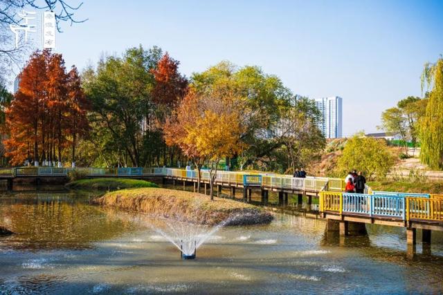 秦淮citywalk｜七桥瓮湿地公园