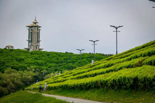 暑 期 游 园 攻 略