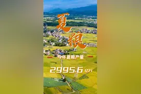 2024中国经济半年报丨全国夏粮获得丰收 农业生产总体平稳图片