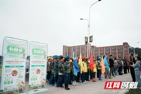 体验收割水稻 感悟“一粒种子改变世界”图片