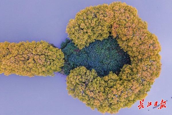 东湖里藏着一把“金钥匙”