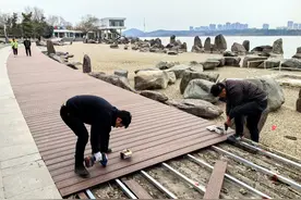 蚌埠龙子湖西公园木栈道修缮进行中图片
