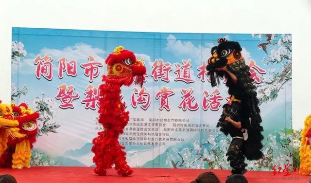 去简阳梨花沟赏花，沉浸式感受“梨花胜雪，汉服倾城”绝美画卷