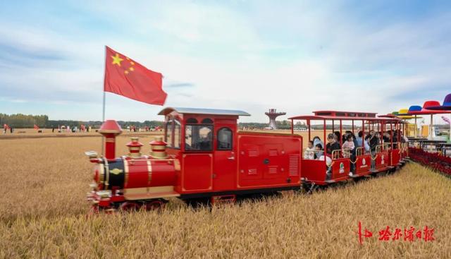 年轻群体主导双节旅游市场，哈尔滨景区成全国打卡热点
