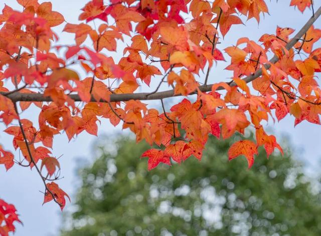 静谧的晋宁昆阳之秋，你可以清晰地听到自己的心跳