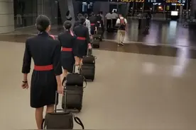 潮声丨一走一留，空姐空少的这道选择题做对了吗图片