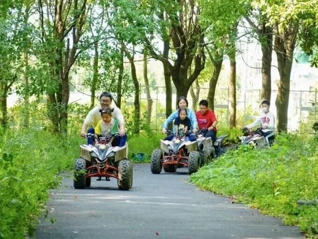 骑行天花板！这条5.6km治愈路线，串联森林与田园风光