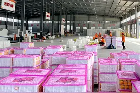 夷陵特早熟蜜桔“抢鲜”上市 国内外共享甜蜜图片