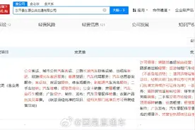 山东东平中巴车学校门口肇事致11死，公司3月份刚新增校车运营服务图片