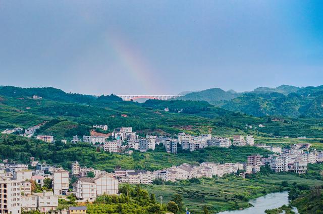 毕节：一颗樱桃富一方