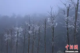 寒潮持续袭粤 广东发布寒冷红色预警图片