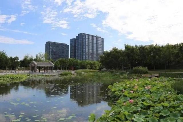 打卡遛娃健身新地标！郑州九大体育公园惠民开放→