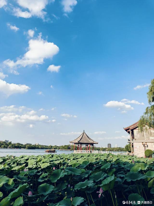 来济南看明湖美景