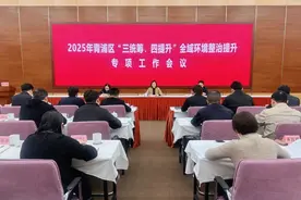 全力改善城市容貌，提升城市品质！2025年青浦区“三统筹、四提升”全域环境整治提升专项工作会议举行图片
