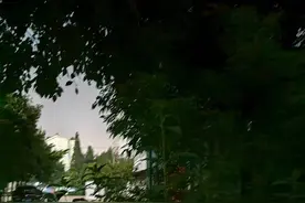 秋夜的精灵（散文）图片